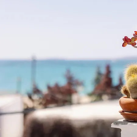 Celini Retreat איוס פרוקופיוס